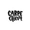 Carpe diem lettering Royalty Free Stock Photo