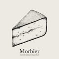 Vector hand drawn illustration of Morbier cheese.