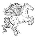 Vector hand drawn illustration of Pegasus isolated.