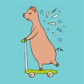 Vector hand-drawn illustration of an pig riding on a scooter. Royalty Free Stock Photo