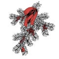 Vector Hand Drawn Illustration Of Pine Tree Branch Decorated With Bow And Holly Berries. Vintage Engraved Style Art.