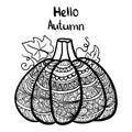 Vector hand drawn illustration of a pumpkin. Zen doodle and zen tangle autumn drawing with a pattern, anti-stress