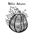 Vector hand drawn illustration of a pumpkin. Zen doodle and zen tangle autumn drawing with a pattern, anti-stress