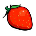 Vector hand drawn illustration of red strawberry