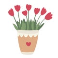 Vector hand drawn illustration of red tulips in a pot