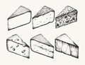 Vector hand drawn illustration of roquefort, brie, goat, morbier, comte, grana padano, valencay, blue cheese with mold . Template