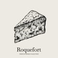 Vector hand drawn illustration of roquefort cheese .