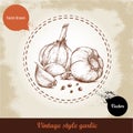 Vector hand drawn illustration with spice garlics and black peppercorn on grunge old background.