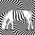 Vector hand drawn illustration of surreal horse with optical illusion