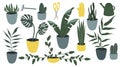 Vector hand drawn illustration on the theme of gardening, plant care - a set of indoor plants in pots and garden tools. Royalty Free Stock Photo