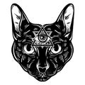 Vector hand drawn ilustration of cat.