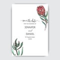 Vector hand drawn invitation for the wedding. Card with protea flowers. Royalty Free Stock Photo