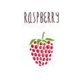 Vector hand drawn isolated raspberry with the inscription