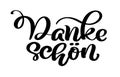 Vector hand drawn lettering Danke Schon. Elegant modern handwritten calligraphy with thankful quote. Thank you Deutsch