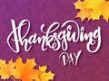 Vector hand drawn lettering - thanksgiving day - with autumn leaves on doodle decorative background