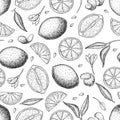 Vector hand drawn lime and lemon seamless pattern.