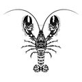 Vector Hand Drawn Lobster