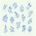 Vector hand drawn medical herbs set on blue cell sheet background illustration Royalty Free Stock Photo