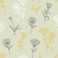 Calendula pattern. Royalty Free Stock Photo