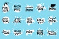 Vector hand drawn milk labels. Signs set for dairy produce. Tags collection for products packaging, advertising etc.