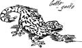 Vector hand drawn monochrome illustration of gecko lizard Royalty Free Stock Photo