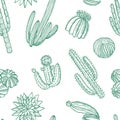 Vector hand drawn wild cacti plants pattern illustration