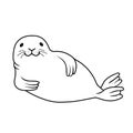 Vector hand drawn outline black and white doodle illustration fur seal