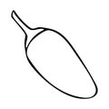 Vector hand drawn outline illustration of jalapeno pepper