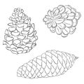Pine or fir cone set line art Royalty Free Stock Photo
