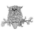 Vector hand drawn Owl sitting on branch. Black and white zentangle art. patterned illustration for antistress coloring