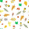Vector hand drawn pattern with autumn elements contours foliage, berries and acorns on the beige background. Maple Royalty Free Stock Photo
