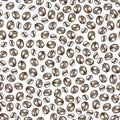 Vector hand drawn pattern of coffee seeds. Coffee beans seamless pattern on white background. Seamless coffe background Royalty Free Stock Photo