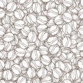 Vector hand drawn pattern of coffee seeds. Coffee beans seamless pattern on white background. Seamless coffe background