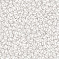 Vector hand drawn pattern of coffee seeds. Coffee beans seamless pattern on white background. Seamless coffe background