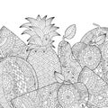 Vector hand drawn pineapple, watermelon, apple illustration for adult coloring book. Freehand sketch for adult anti