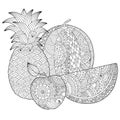 Vector hand drawn pineapple, watermelon, apple illustration for adult coloring book. Freehand sketch for adult anti