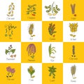 Vector hand drawn porridge cereals icons