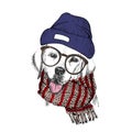 Vector hand drawn portrait of cozy winter dog. Labrador retriever wearing knitted scarf, beanine andhipster glasses.