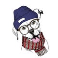 Vector hand drawn portrait of cozy winter dog. Pit bull wearing knitted scarf, beanine andhipster glasses.