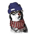 Vector hand drawn portrait of cozy winter dog.