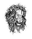 Vector hand drawn realistic lion-pirate