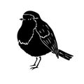 Vector hand drawn robin redbreast bird