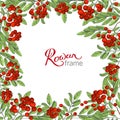 Vector hand drawn rowan frame. Suitable for decoration greeting cards for the autumn and winter seasons Royalty Free Stock Photo