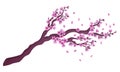 Vector hand drawn sakura blossom branch with flowers and falling petals isolated on white background. Stock illustration. Japanese Royalty Free Stock Photo