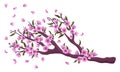 Vector hand drawn sakura blossom branch with flowers and falling petals isolated on white background. Stock illustration. Japanese Royalty Free Stock Photo