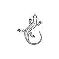 Salamander hand drawn sketch icon.