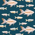 Vector hand drawn sardines and gold fishes seamless pattern print background.