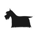 Vector hand drawn Scottish terrier silhouette Royalty Free Stock Photo