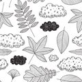 Vector hand drawn seamless pattern with autumn elements contours foliage, clouds, leaves Line art design, doodle black Royalty Free Stock Photo