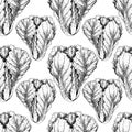 Vector hand drawn seamless pattern of chinese cabbage. Farm vegetables. Engraved art. Organic sketched objects.